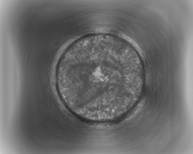 X0000101090673200807241008