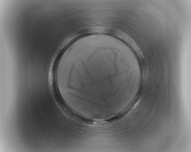 X0000101090674200807241008