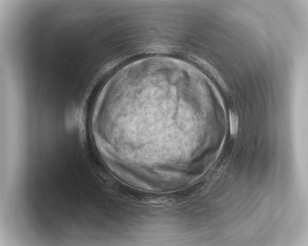 X0000101090675200807241008