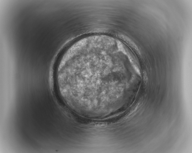 X0000101090676200807241008