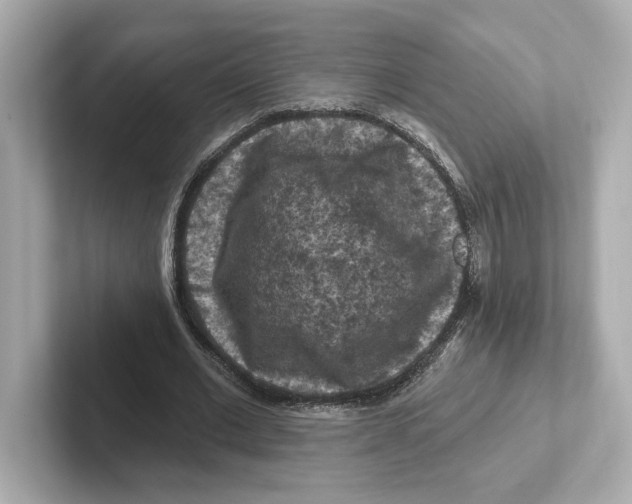 X0000101090677200807241008