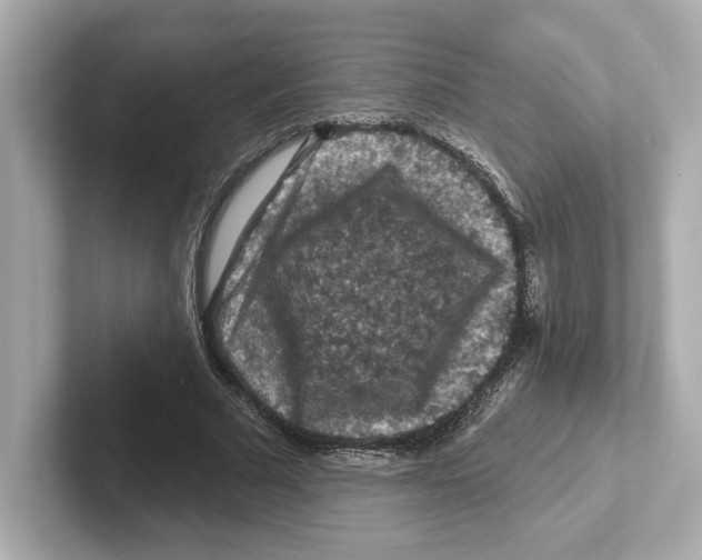 X0000101090681200807241008