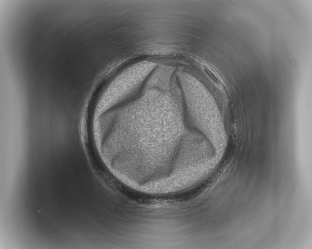 X0000101090682200807241008