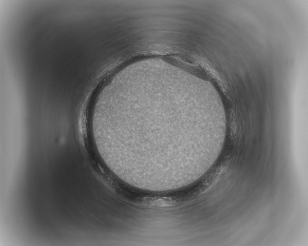 X0000101090683200807241008