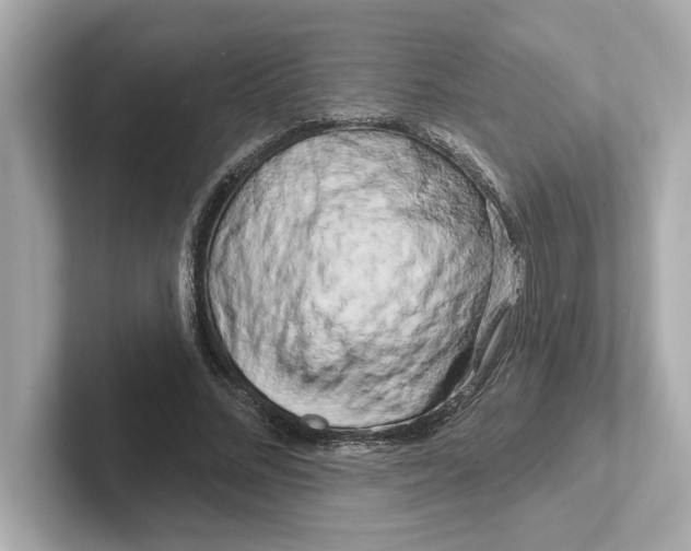 X0000101090684200807241008