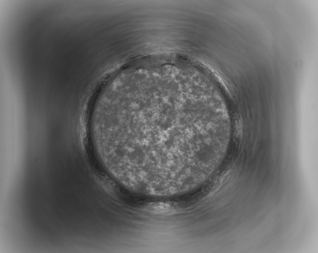 X0000101090687200807241008