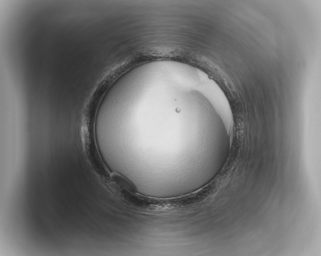 X0000101090688200807241008