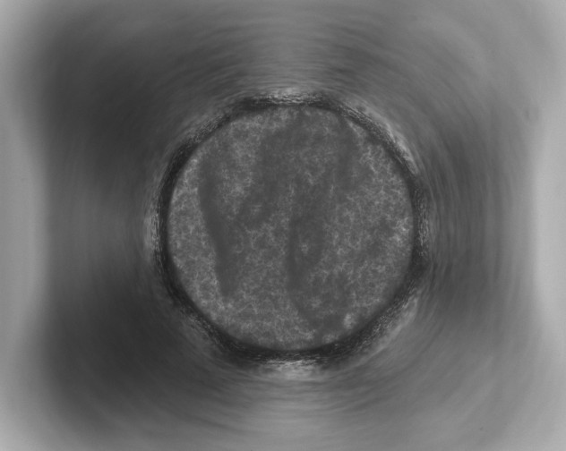 X0000101090689200807241008