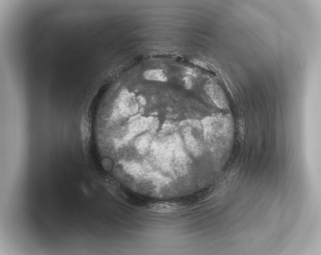 X0000101090691200807241008