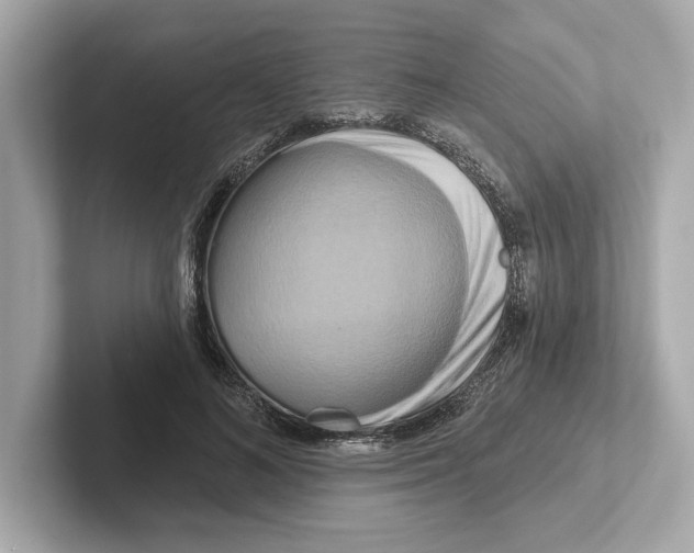 X0000101090692200807241008