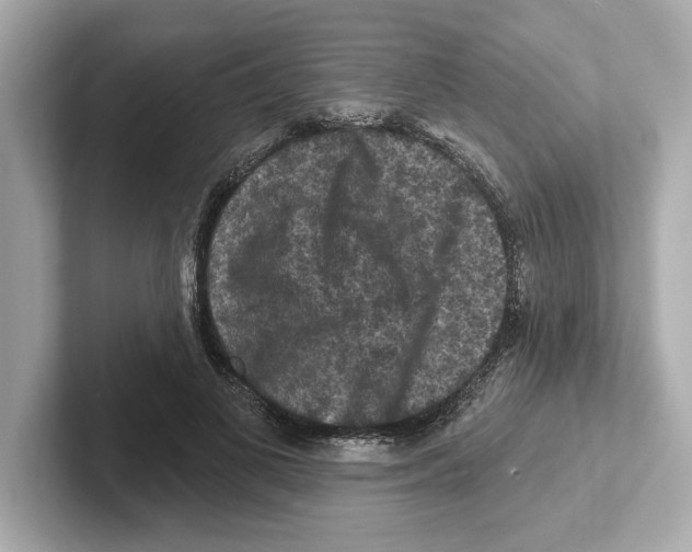 X0000101090693200807241008