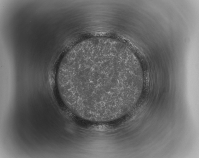 X0000101090695200807241008