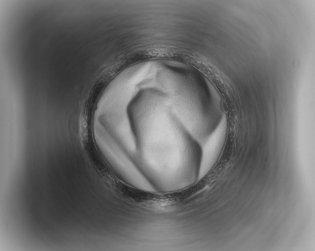 X0000101090696200807241008