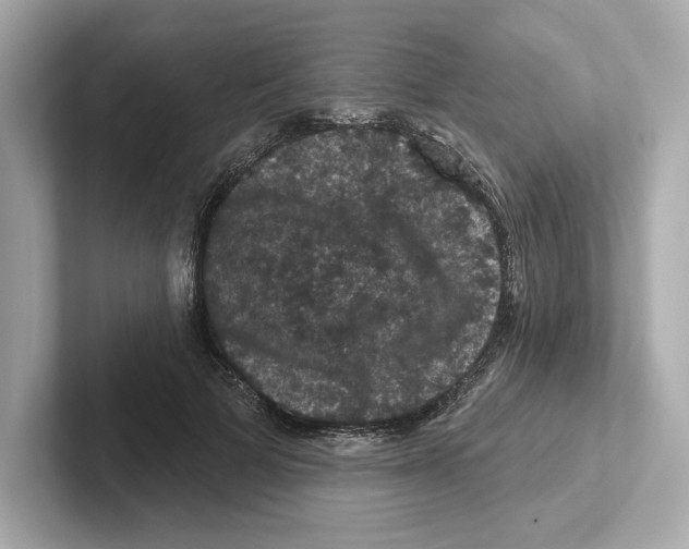 X0000101090697200807241008