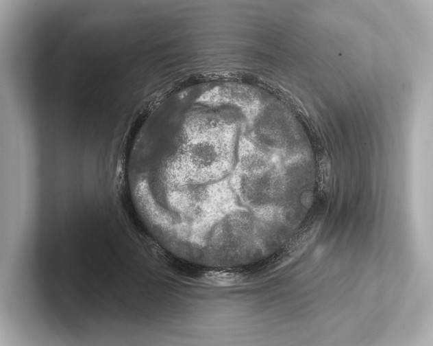 X0000101090699200807241008