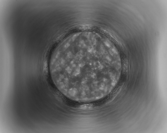 X0000101090700200807241008