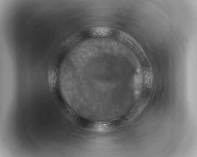 X0000101090701200807241008