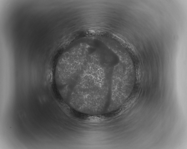 X0000101090703200807241008