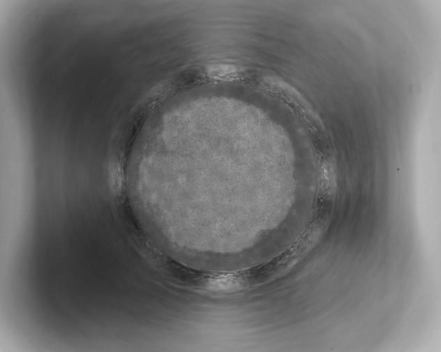 X0000101090705200807241008