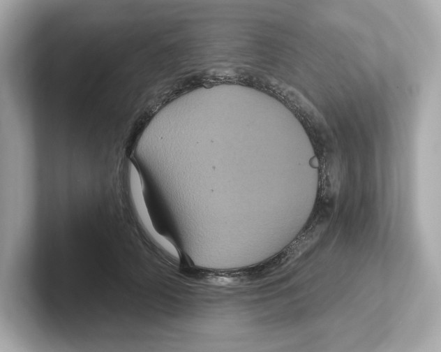 X0000101090706200807241008