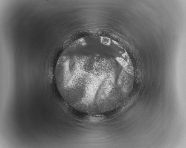 X0000101090707200807241008