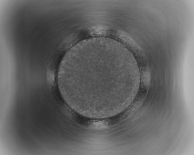 X0000101090709200807241008