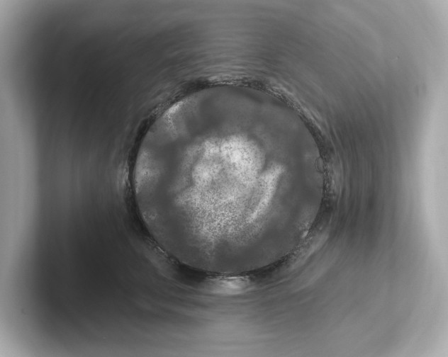 X0000101090711200807241008