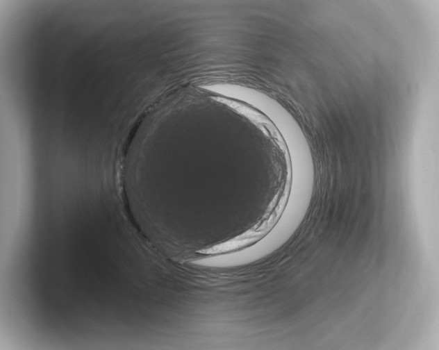 X0000101090712200807241008