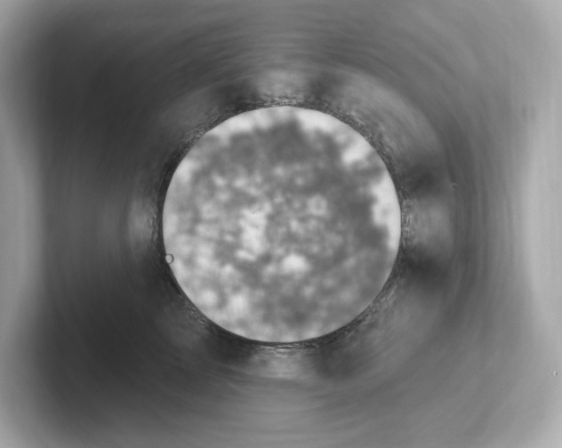 X0000101090713200807241008