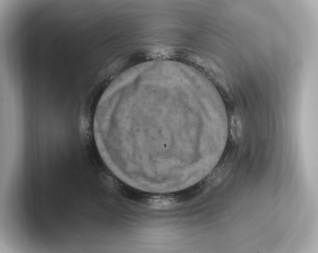 X0000101090714200807241008