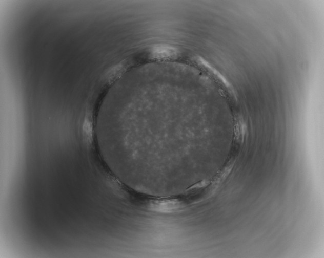 X0000101090716200807241008