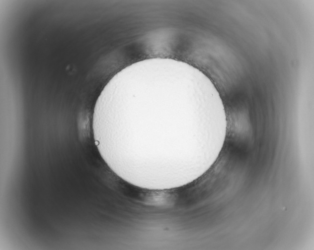 X0000101090717200807241008