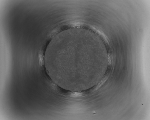 X0000101090718200807241008