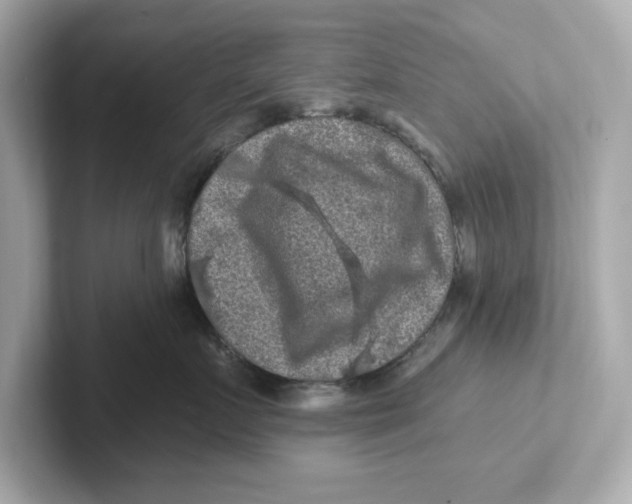 X0000101090719200807241008