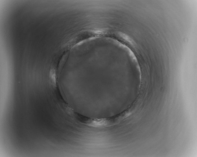 X0000101090720200807241007