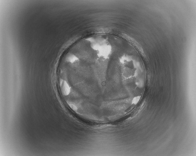 X0000101090721200807241007