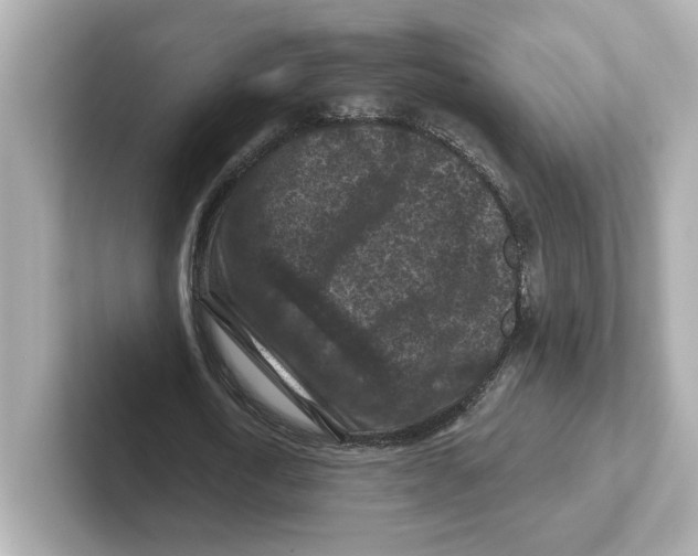 X0000101090722200807241007