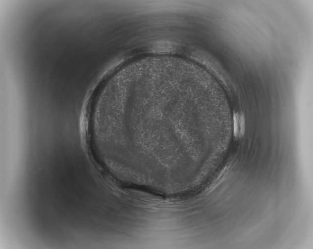 X0000101090723200807241007