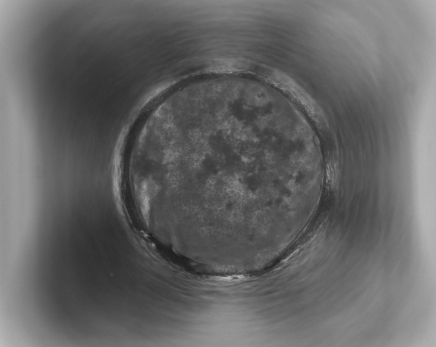 X0000101090724200807241007