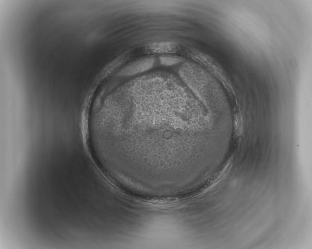 X0000101090725200807241007