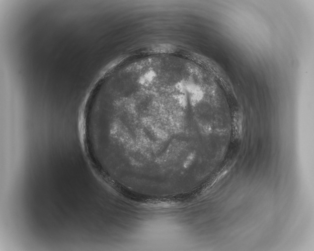 X0000101090726200807241007