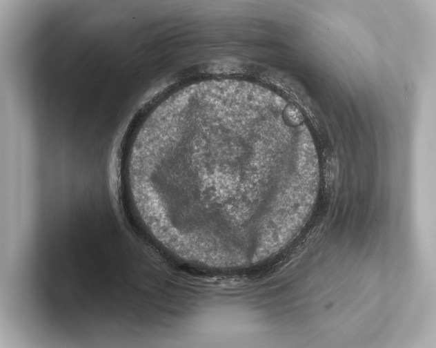 X0000101090727200807241007