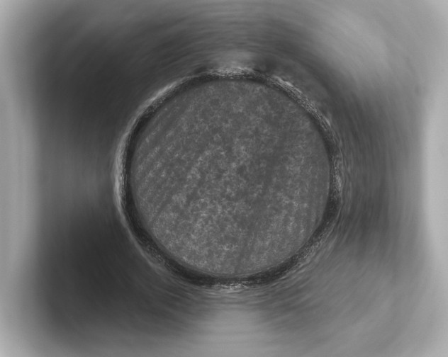 X0000101090728200807241007