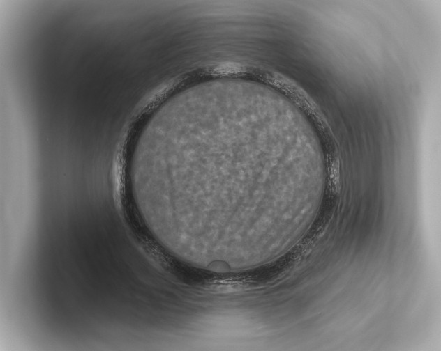 X0000101090732200807241007