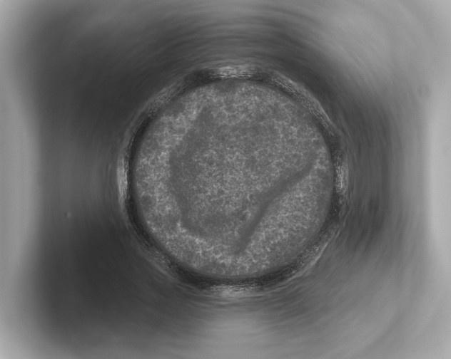 X0000101090733200807241007