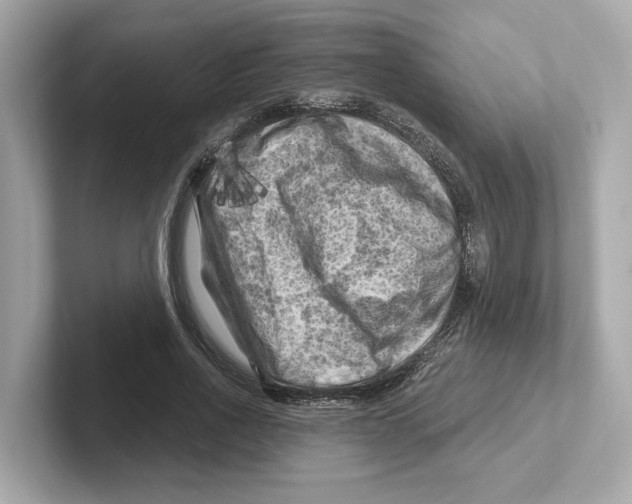 X0000101090734200807241007