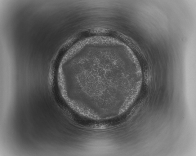 X0000101090735200807241007