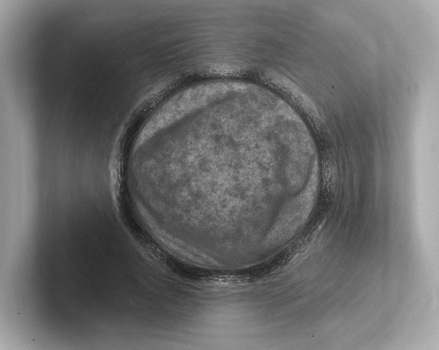 X0000101090736200807241007