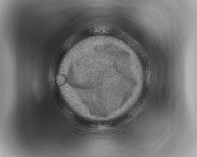 X0000101090737200807241007