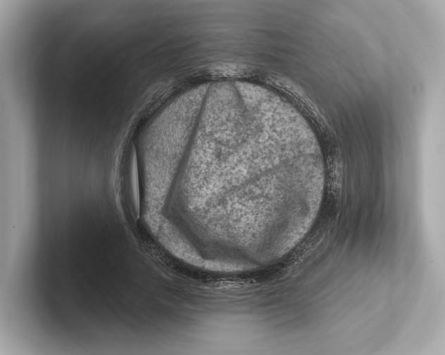 X0000101090738200807241007